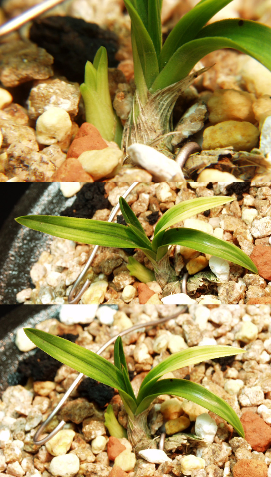 ������ ū������ �� �� �ֽ��ϴ�.