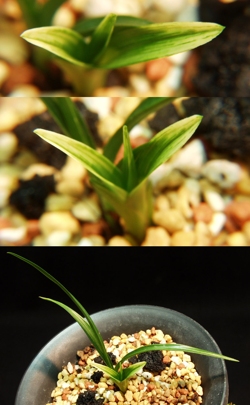 ������ ū������ �� �� �ֽ��ϴ�.