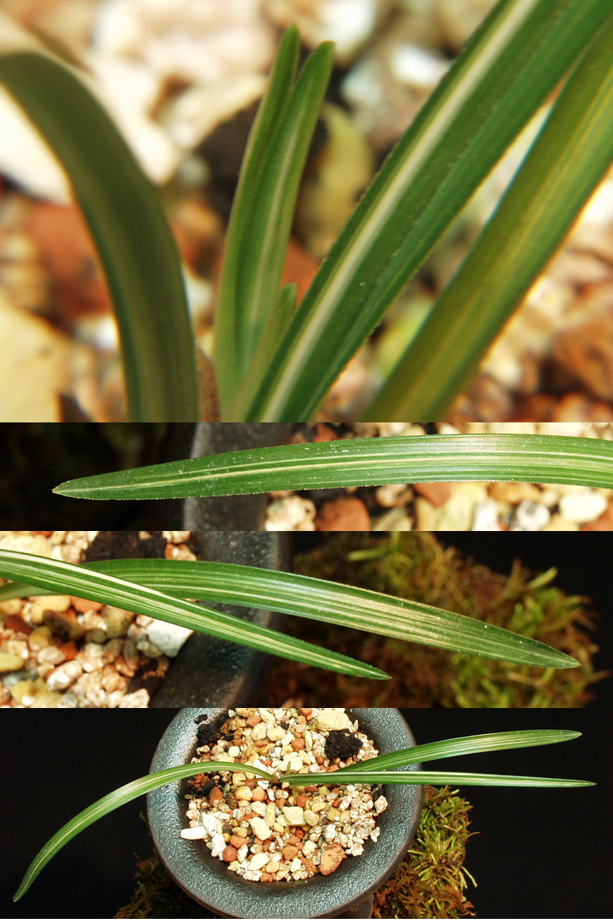 ������ ū������ �� �� �ֽ��ϴ�.