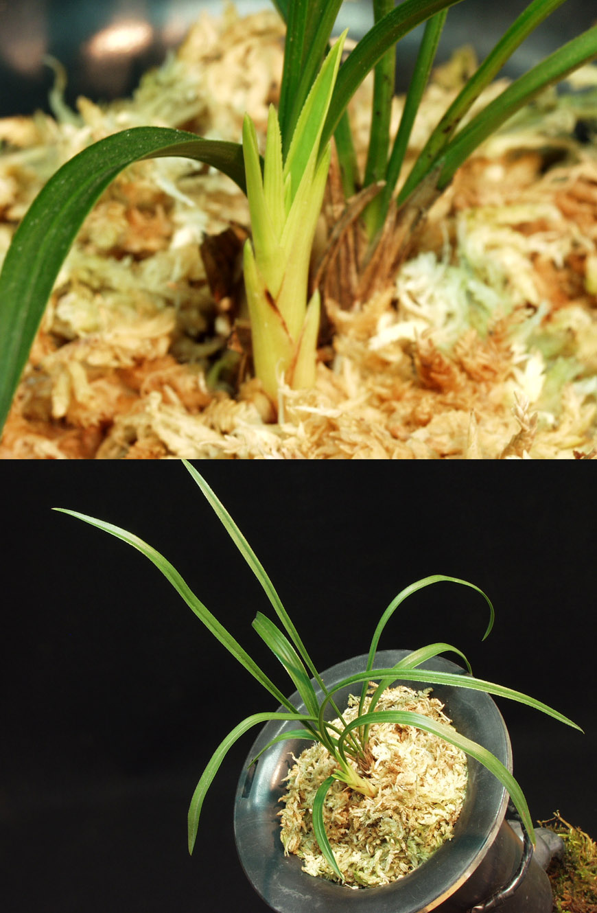 ������ ū������ �� �� �ֽ��ϴ�.