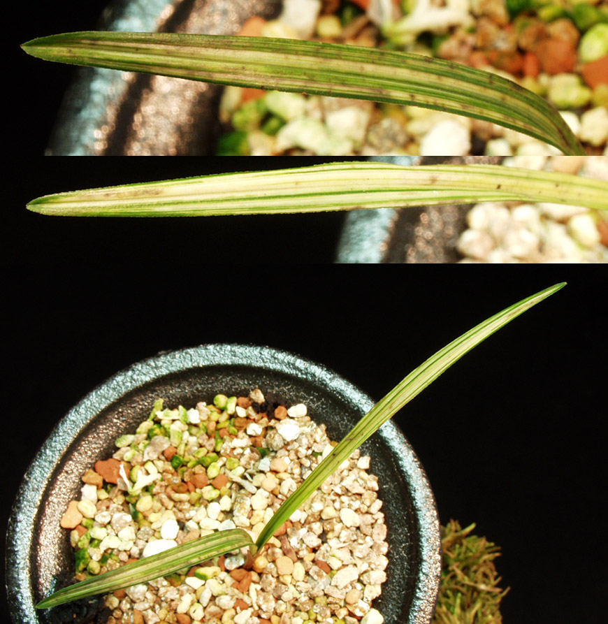 ������ ū������ �� �� �ֽ��ϴ�.