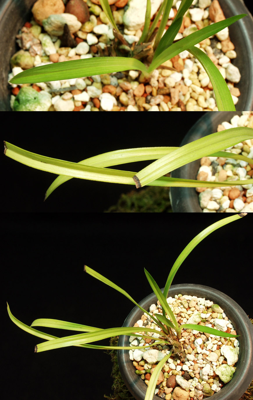 ������ ū������ �� �� �ֽ��ϴ�.