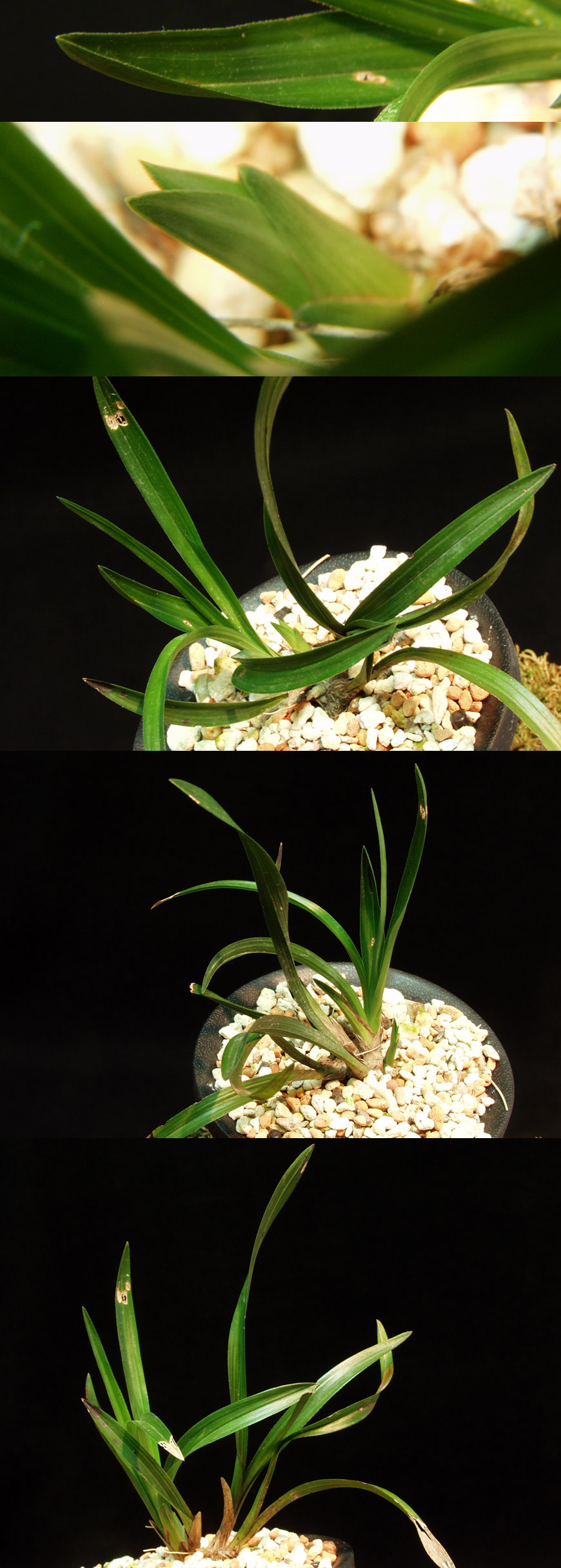 ������ ū������ �� �� �ֽ��ϴ�.