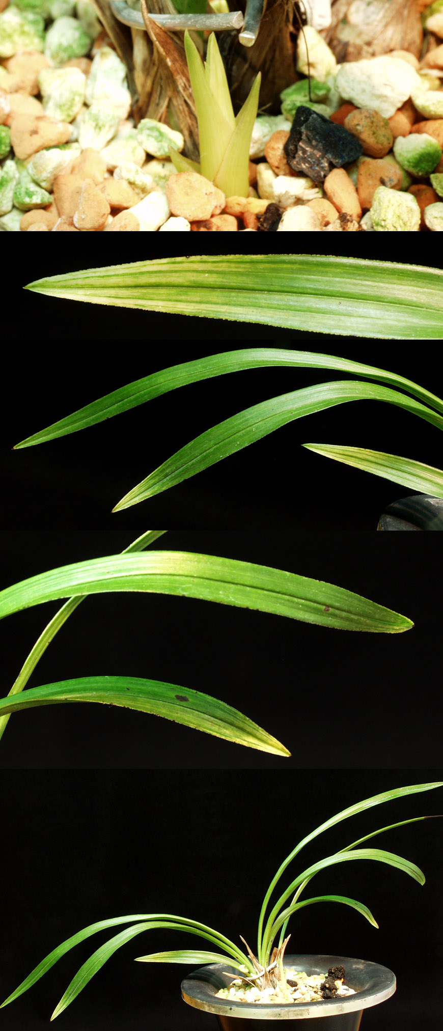 ������ ū������ �� �� �ֽ��ϴ�.