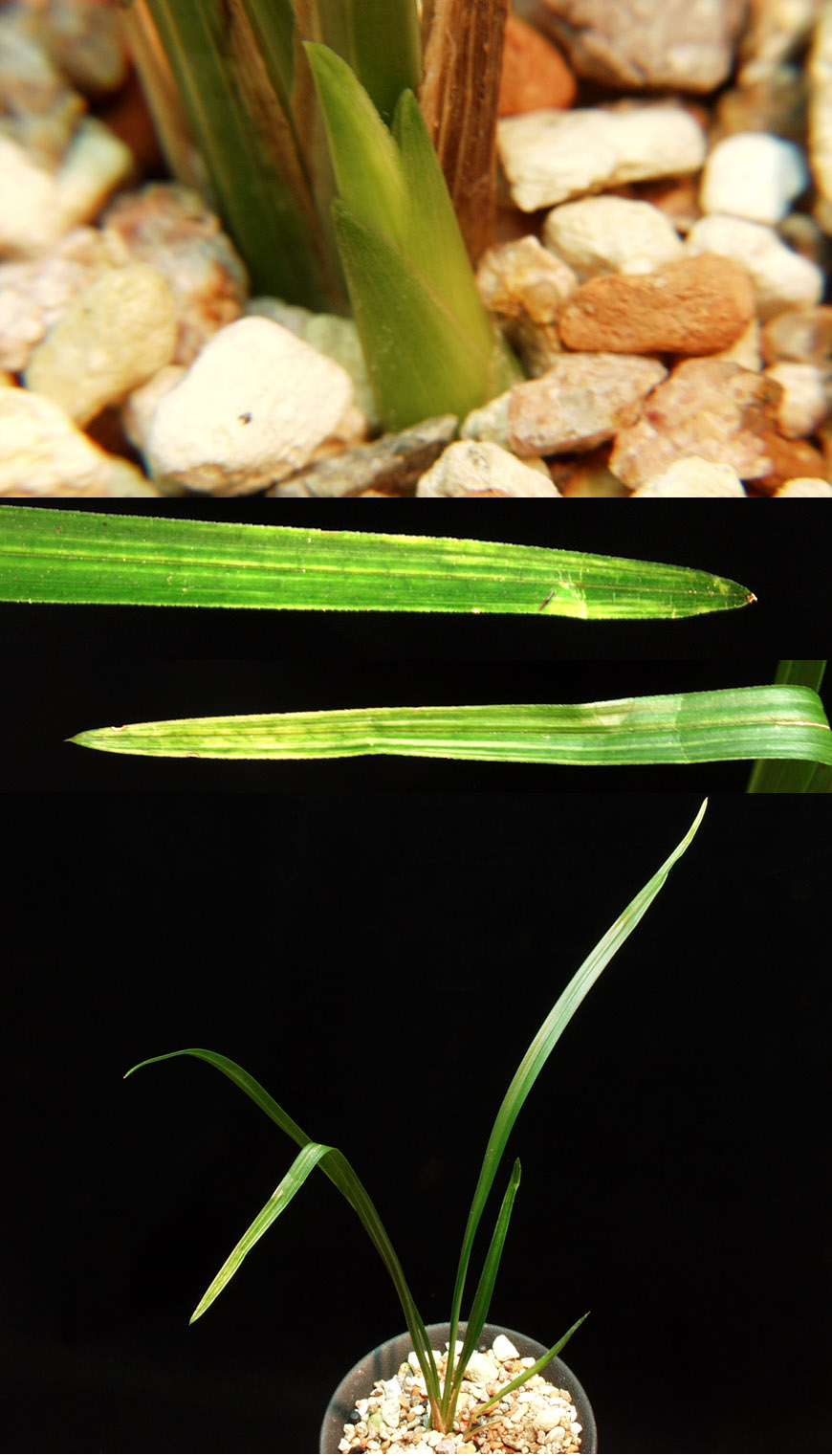 ������ ū������ �� �� �ֽ��ϴ�.