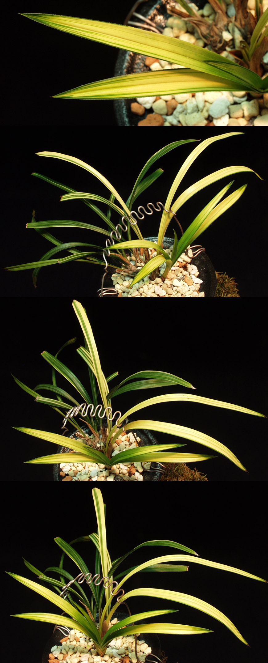 ������ ū������ �� �� �ֽ��ϴ�.