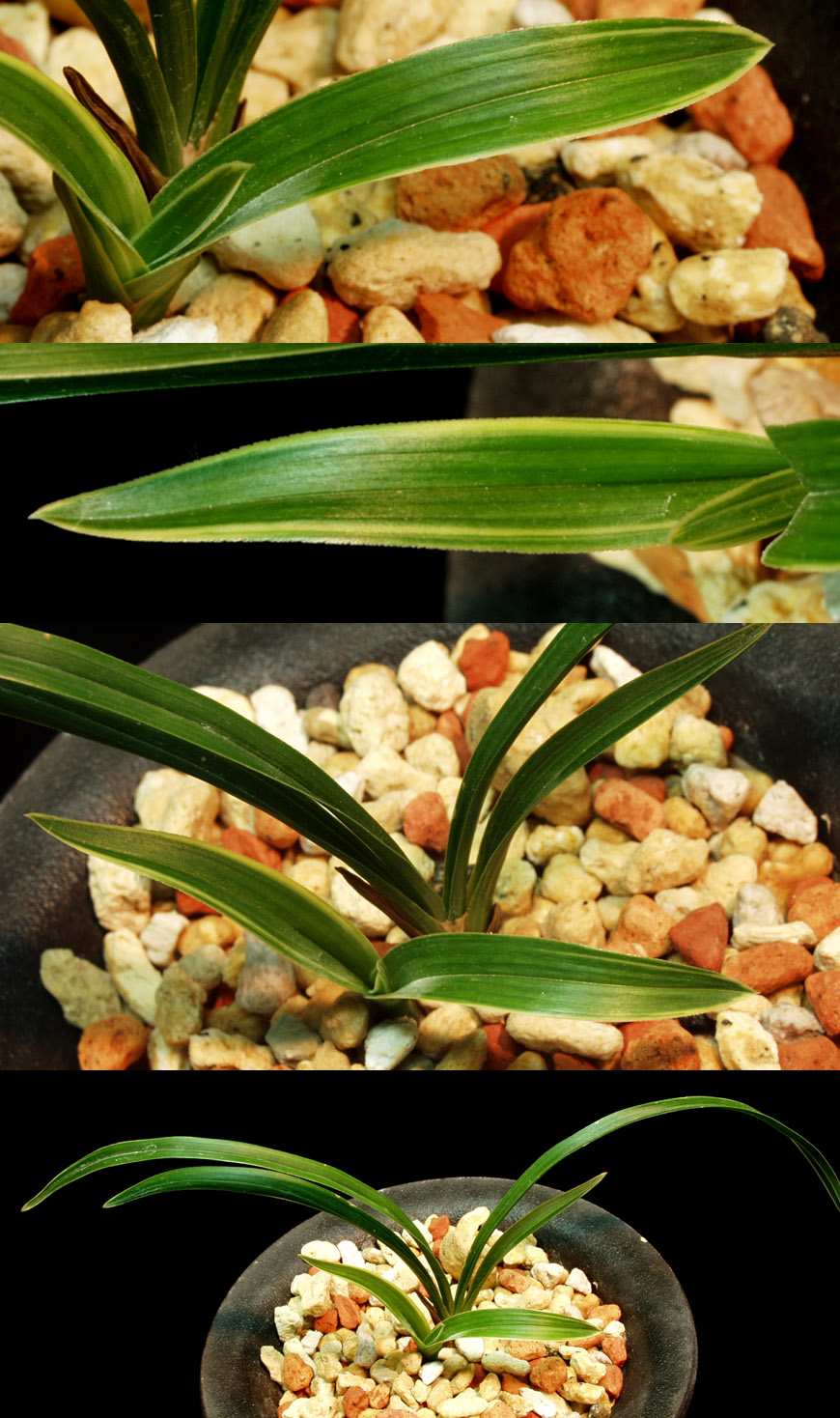 ������ ū������ �� �� �ֽ��ϴ�.