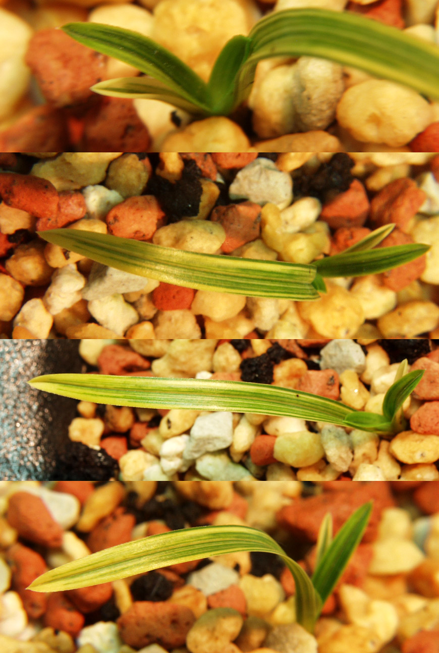 ������ ū������ �� �� �ֽ��ϴ�.