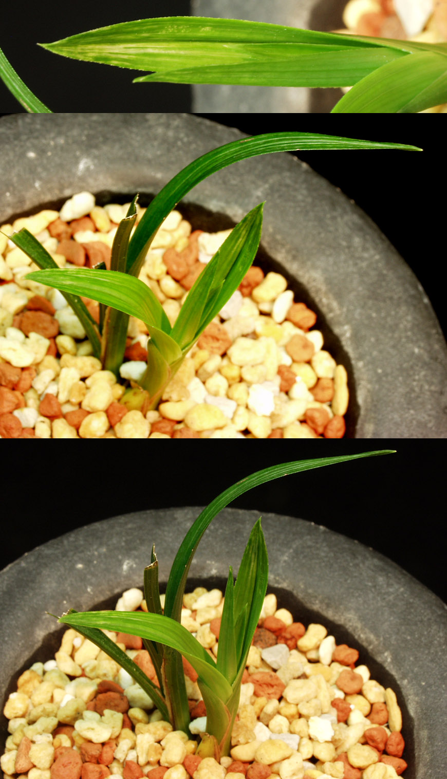 ������ ū������ �� �� �ֽ��ϴ�.