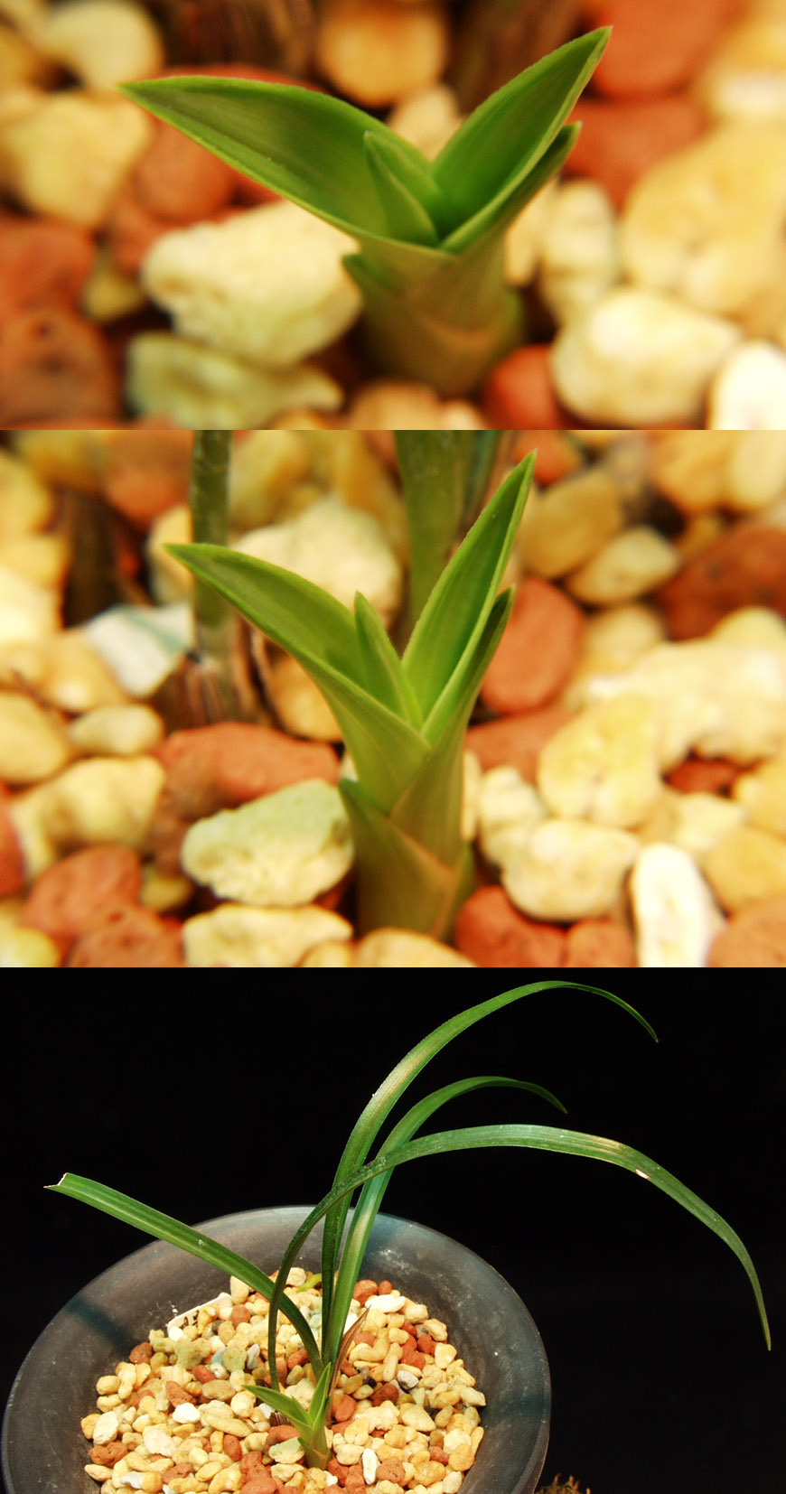 ������ ū������ �� �� �ֽ��ϴ�.