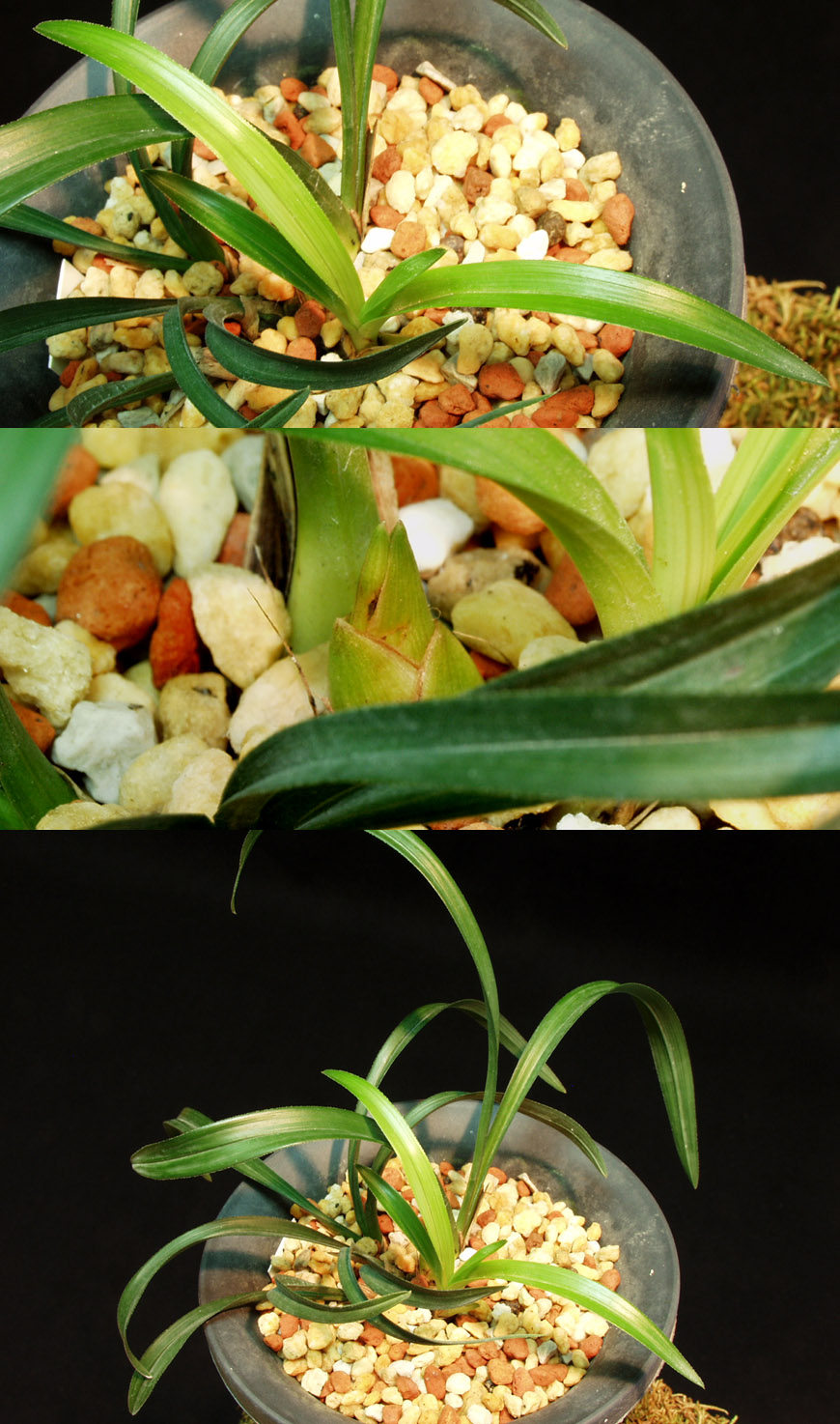 ������ ū������ �� �� �ֽ��ϴ�.