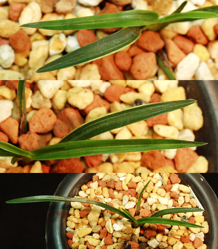 ������ ū������ �� �� �ֽ��ϴ�.