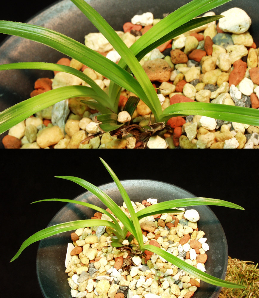 ������ ū������ �� �� �ֽ��ϴ�.