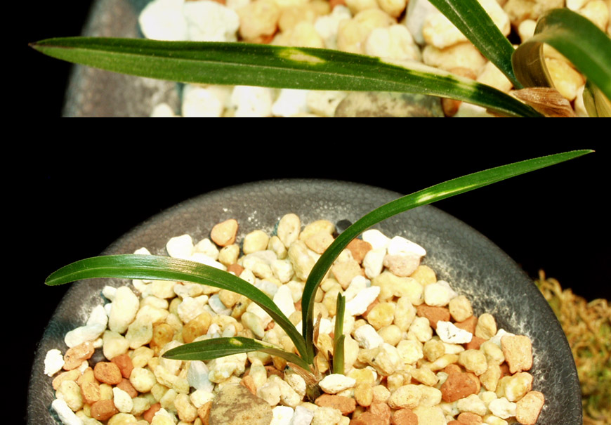 ������ ū������ �� �� �ֽ��ϴ�.