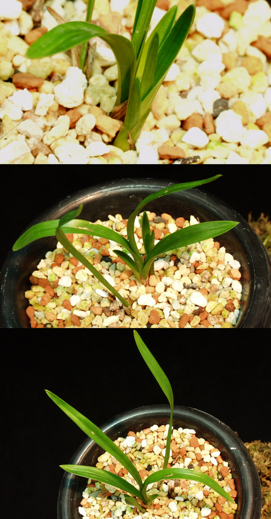 ������ ū������ �� �� �ֽ��ϴ�.