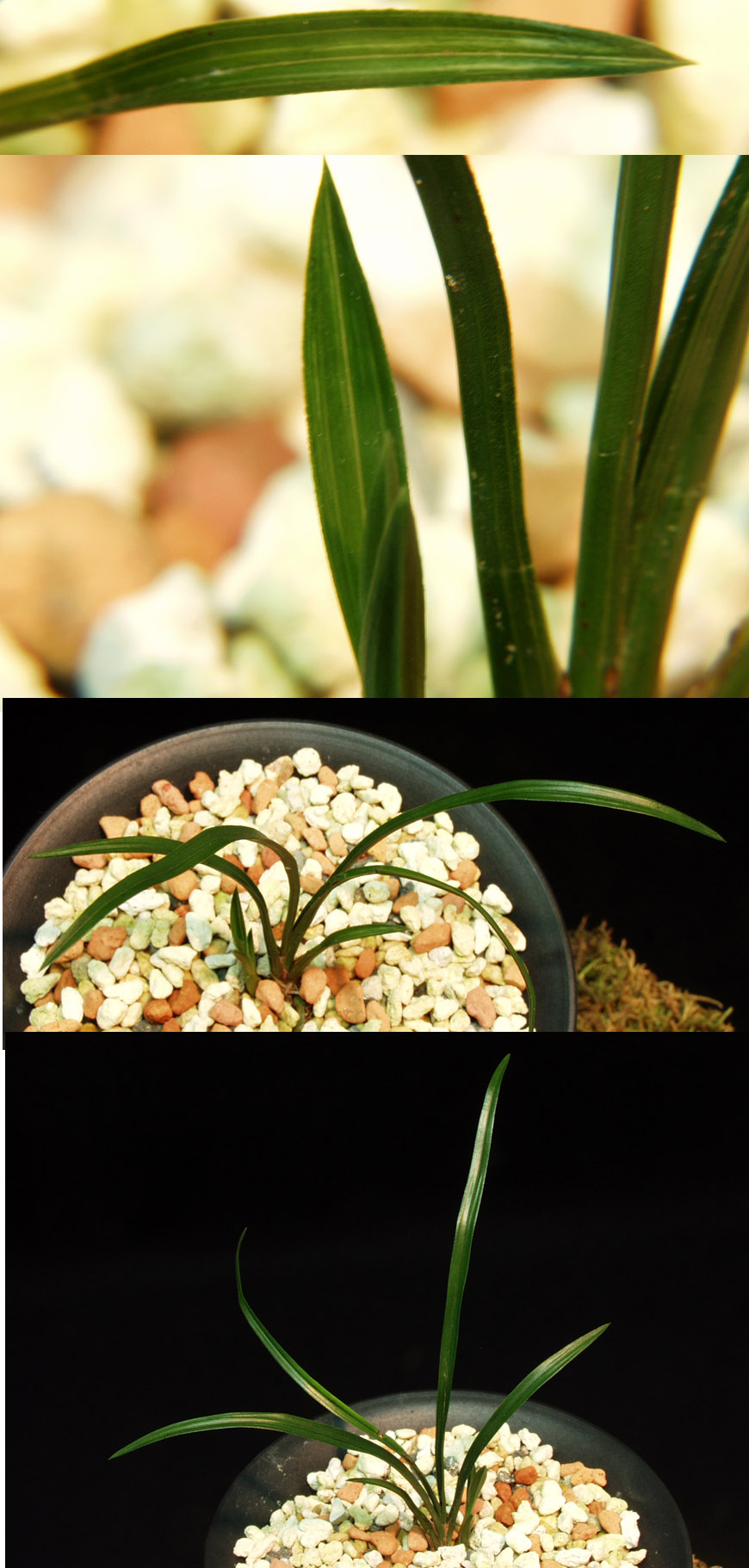 ������ ū������ �� �� �ֽ��ϴ�.