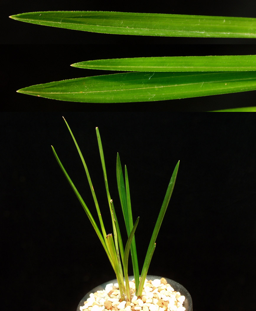 ������ ū������ �� �� �ֽ��ϴ�.