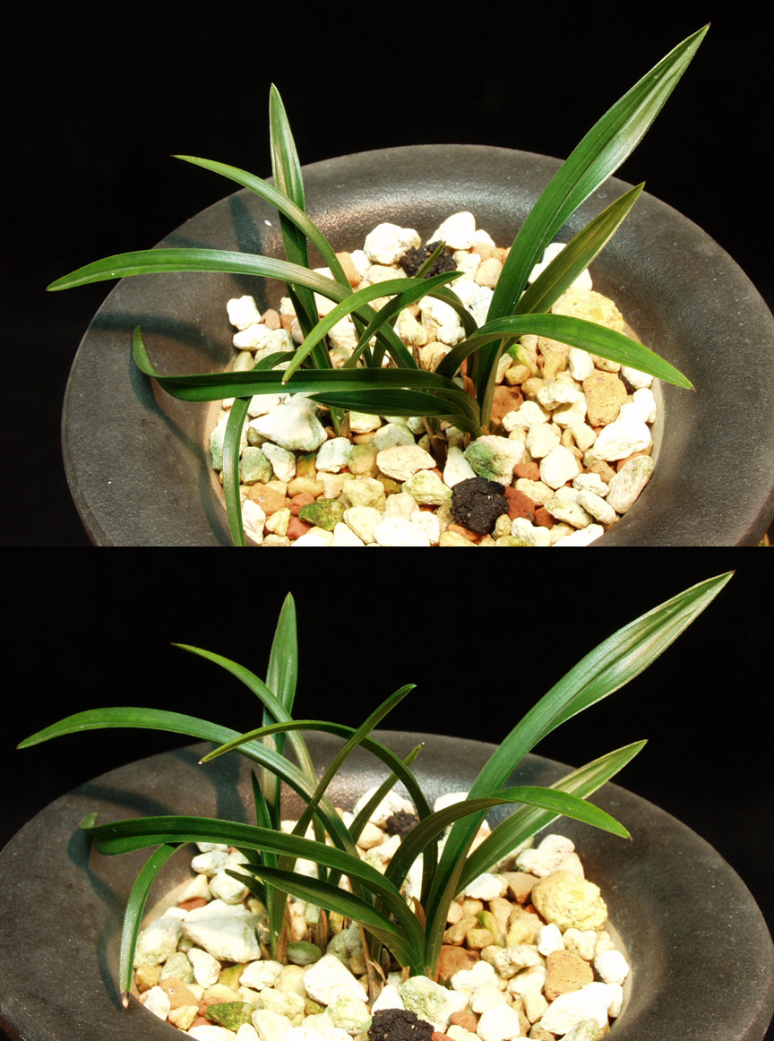 ������ ū������ �� �� �ֽ��ϴ�.