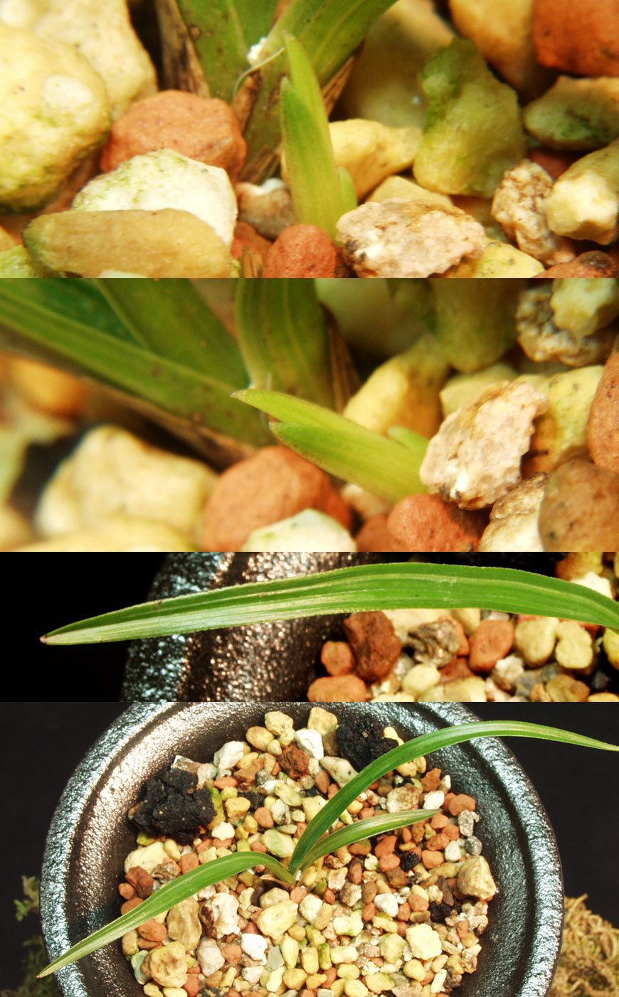 ������ ū������ �� �� �ֽ��ϴ�.