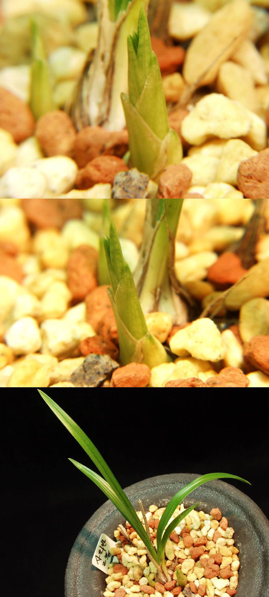 ������ ū������ �� �� �ֽ��ϴ�.