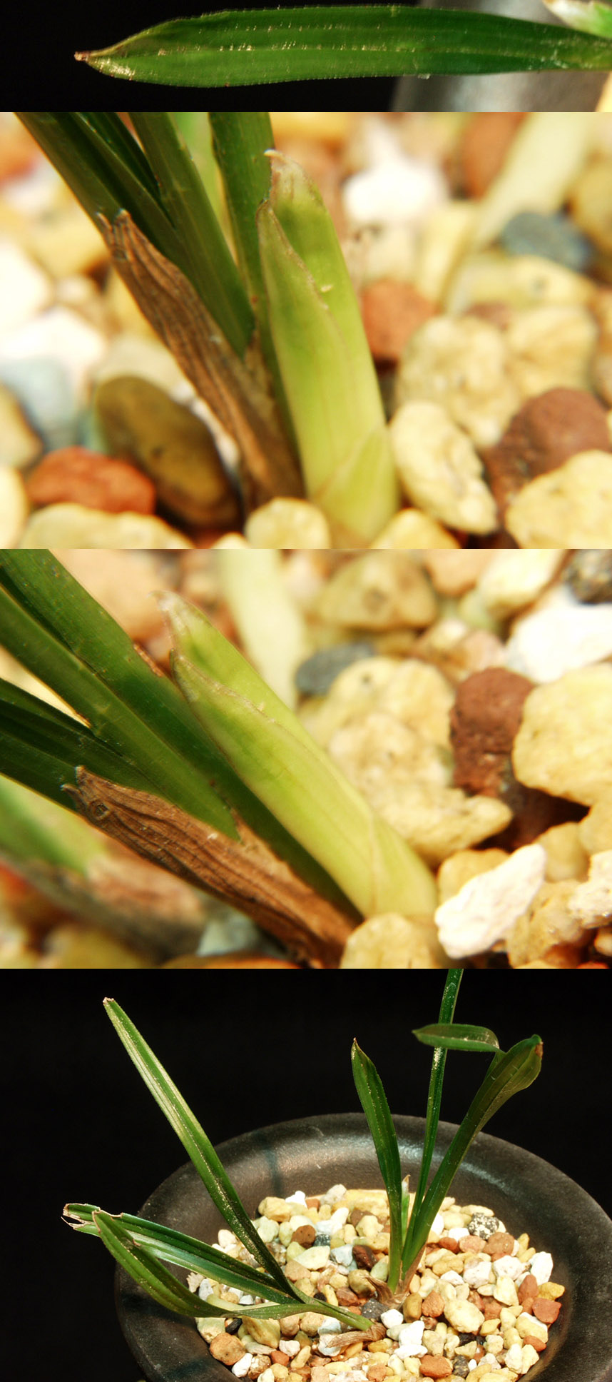 ������ ū������ �� �� �ֽ��ϴ�.