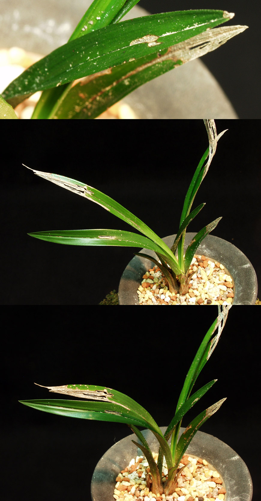 ������ ū������ �� �� �ֽ��ϴ�.