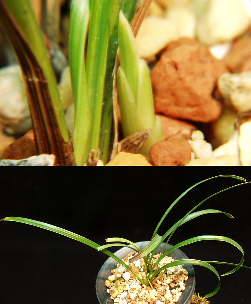 ������ ū������ �� �� �ֽ��ϴ�.