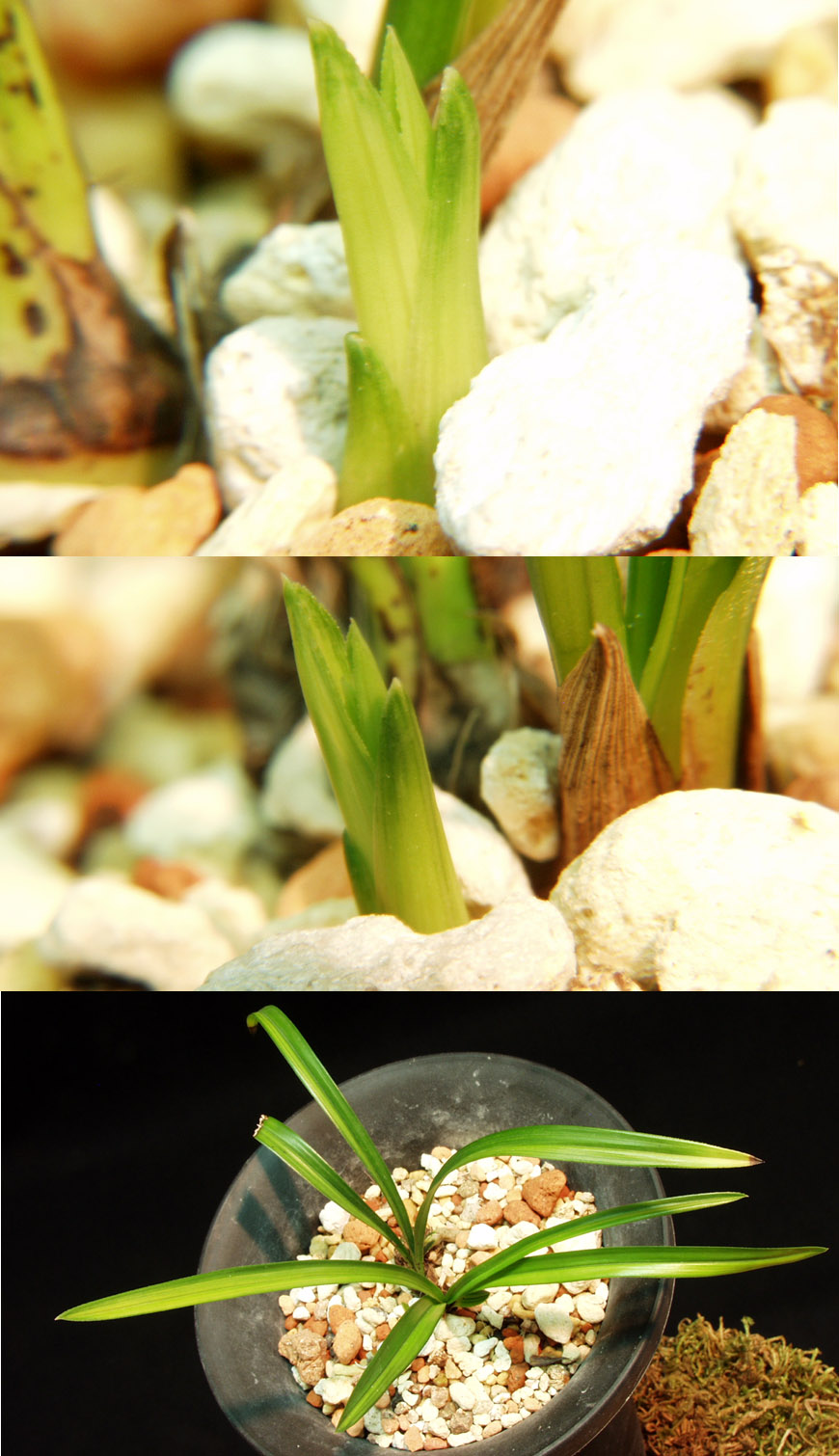 ������ ū������ �� �� �ֽ��ϴ�.