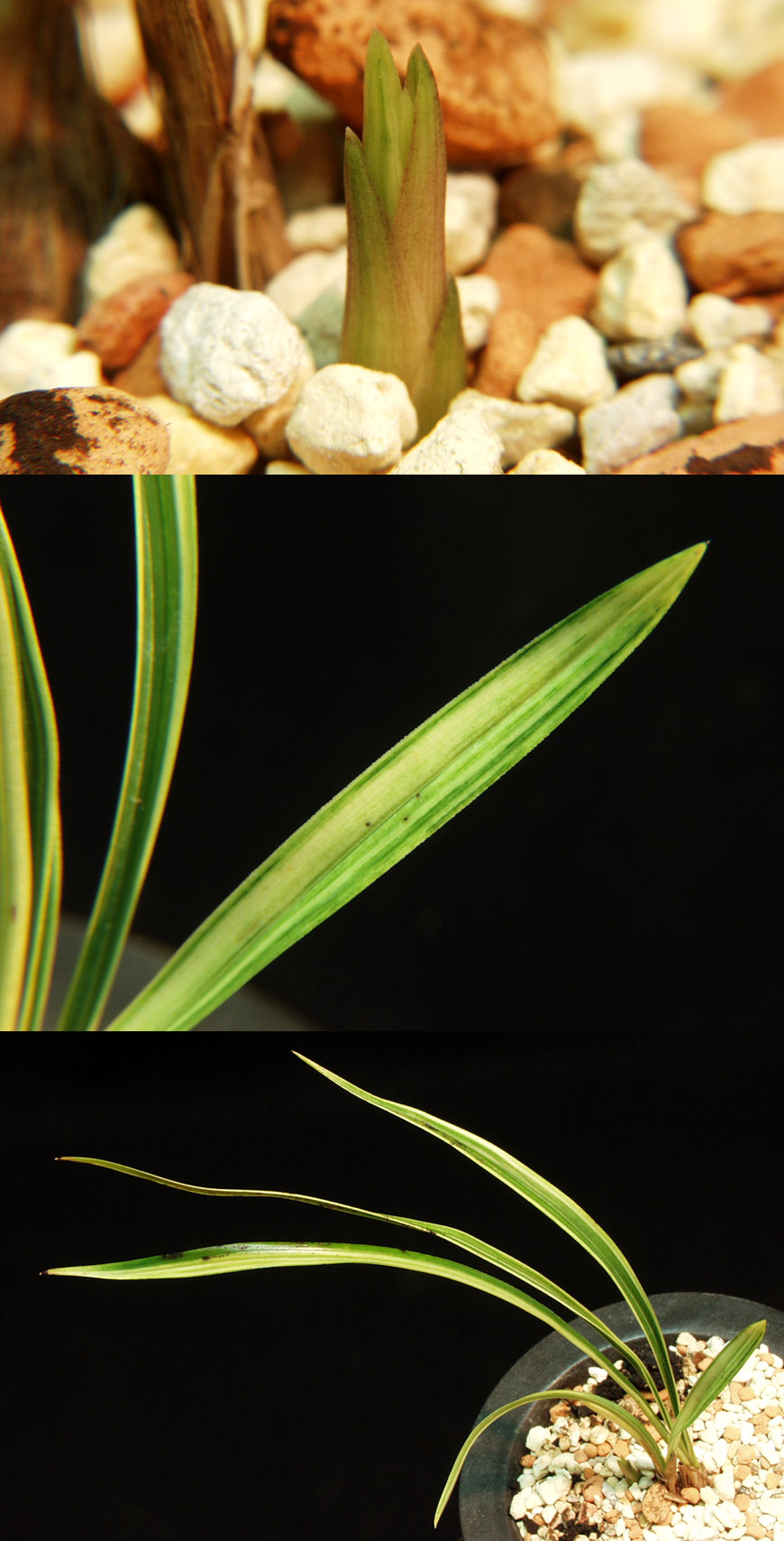 ������ ū������ �� �� �ֽ��ϴ�.