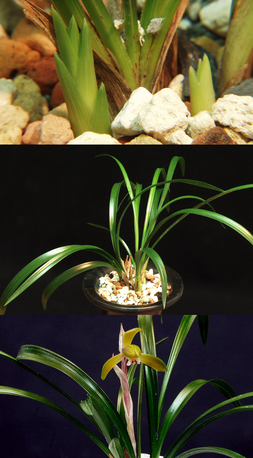 ������ ū������ �� �� �ֽ��ϴ�.