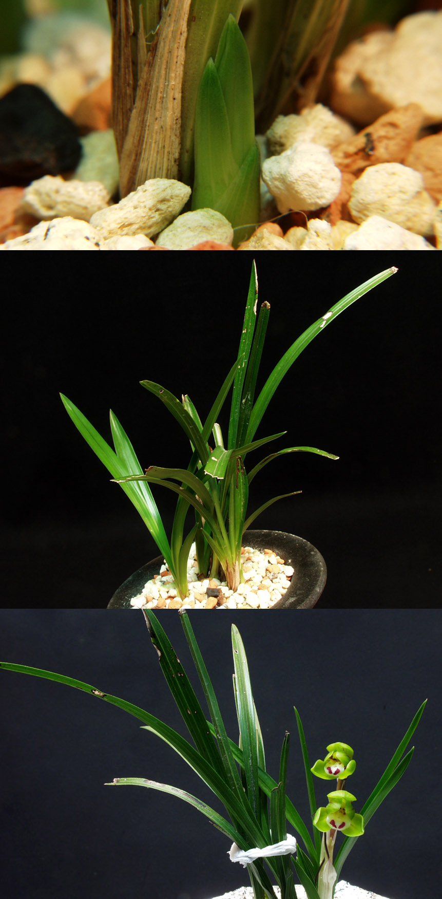 ������ ū������ �� �� �ֽ��ϴ�.