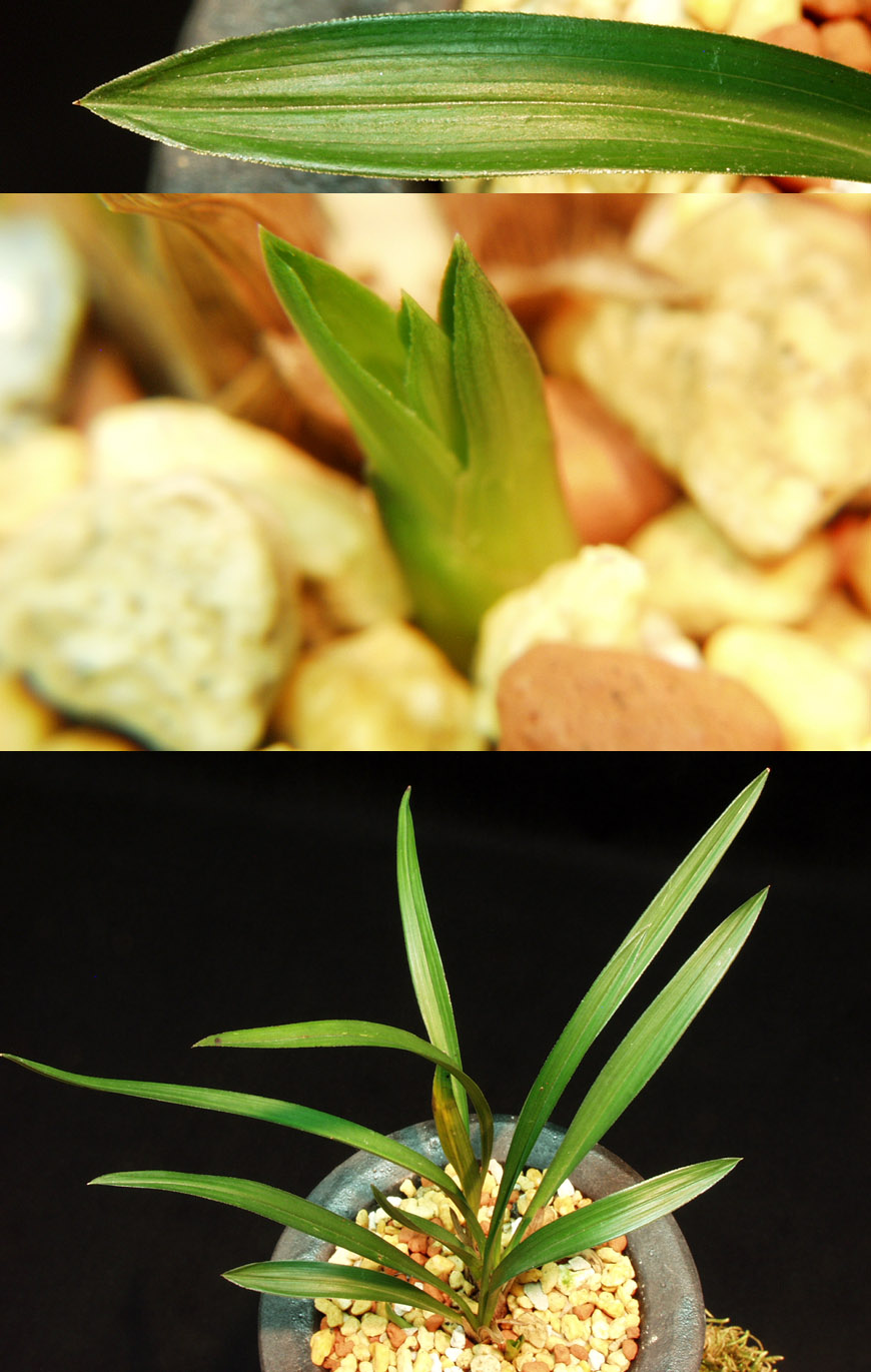 ������ ū������ �� �� �ֽ��ϴ�.