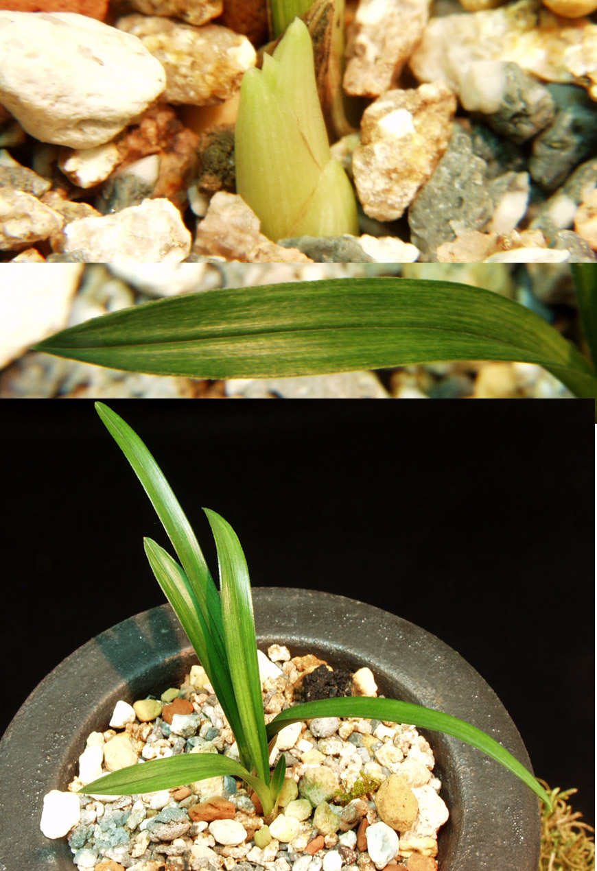 ������ ū������ �� �� �ֽ��ϴ�.