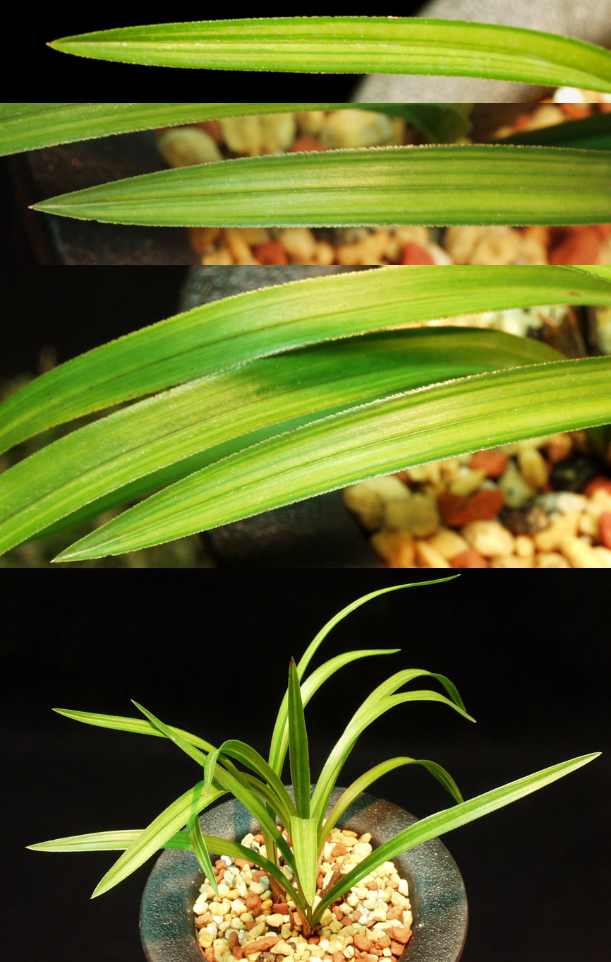 ������ ū������ �� �� �ֽ��ϴ�.