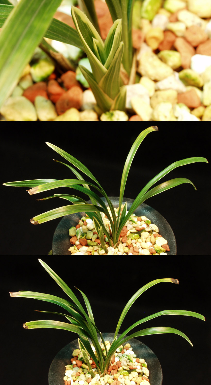 ������ ū������ �� �� �ֽ��ϴ�.