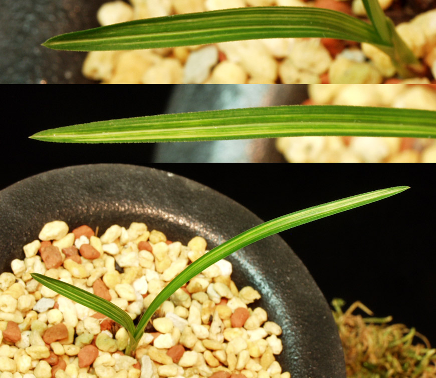 ������ ū������ �� �� �ֽ��ϴ�.