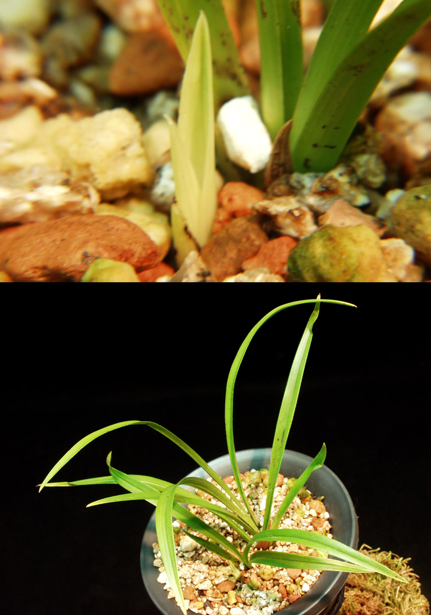 ������ ū������ �� �� �ֽ��ϴ�.