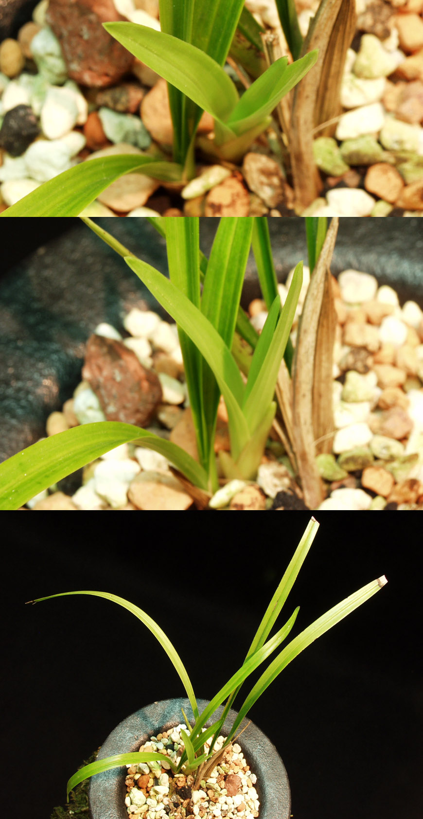 ������ ū������ �� �� �ֽ��ϴ�.