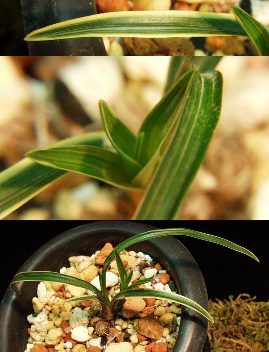 ������ ū������ �� �� �ֽ��ϴ�.