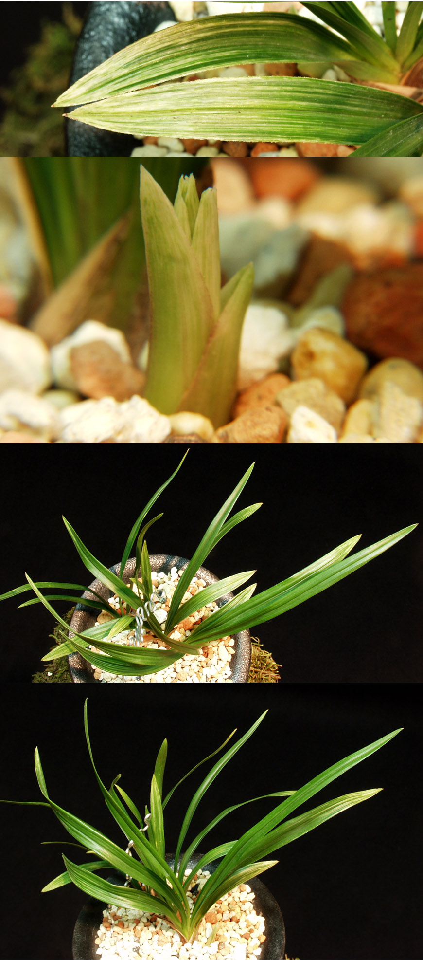 ������ ū������ �� �� �ֽ��ϴ�.