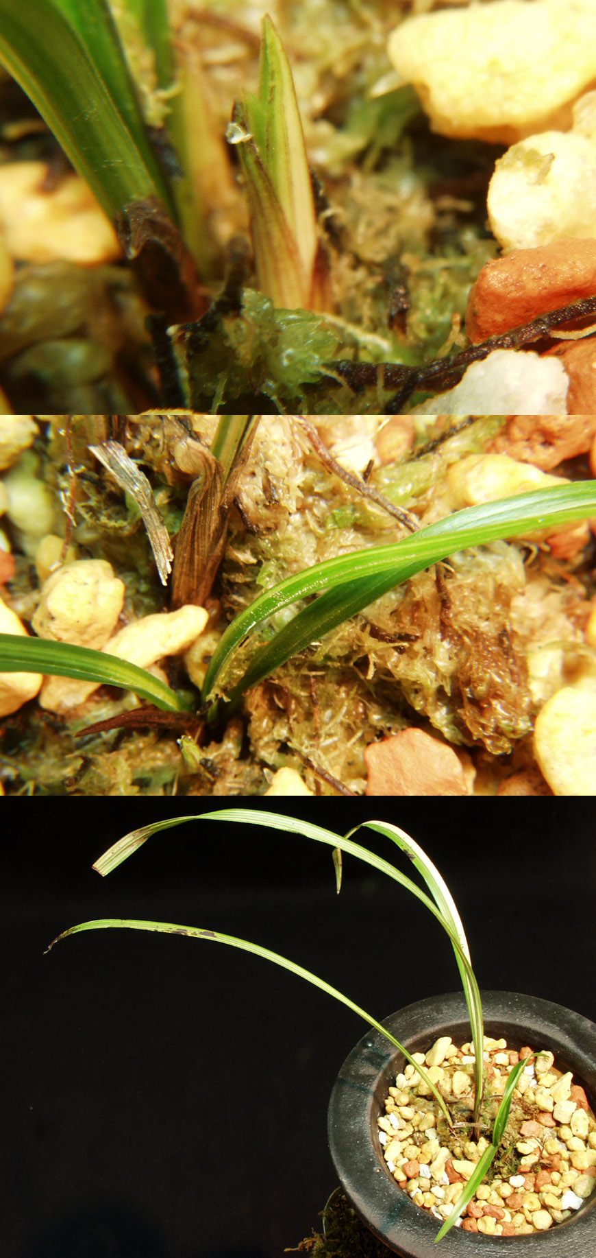 ������ ū������ �� �� �ֽ��ϴ�.