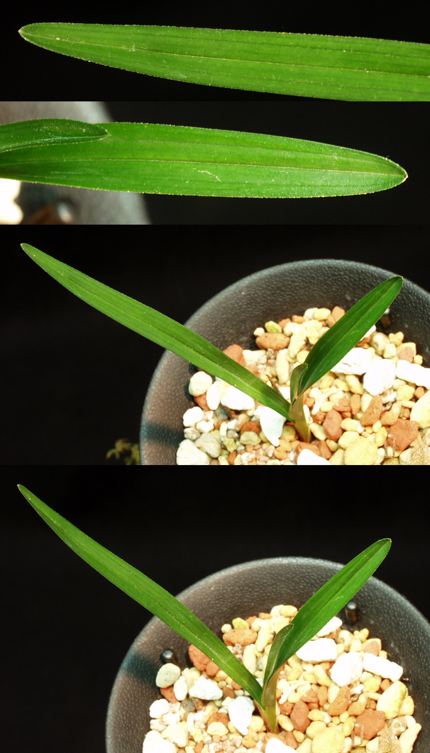 ������ ū������ �� �� �ֽ��ϴ�.