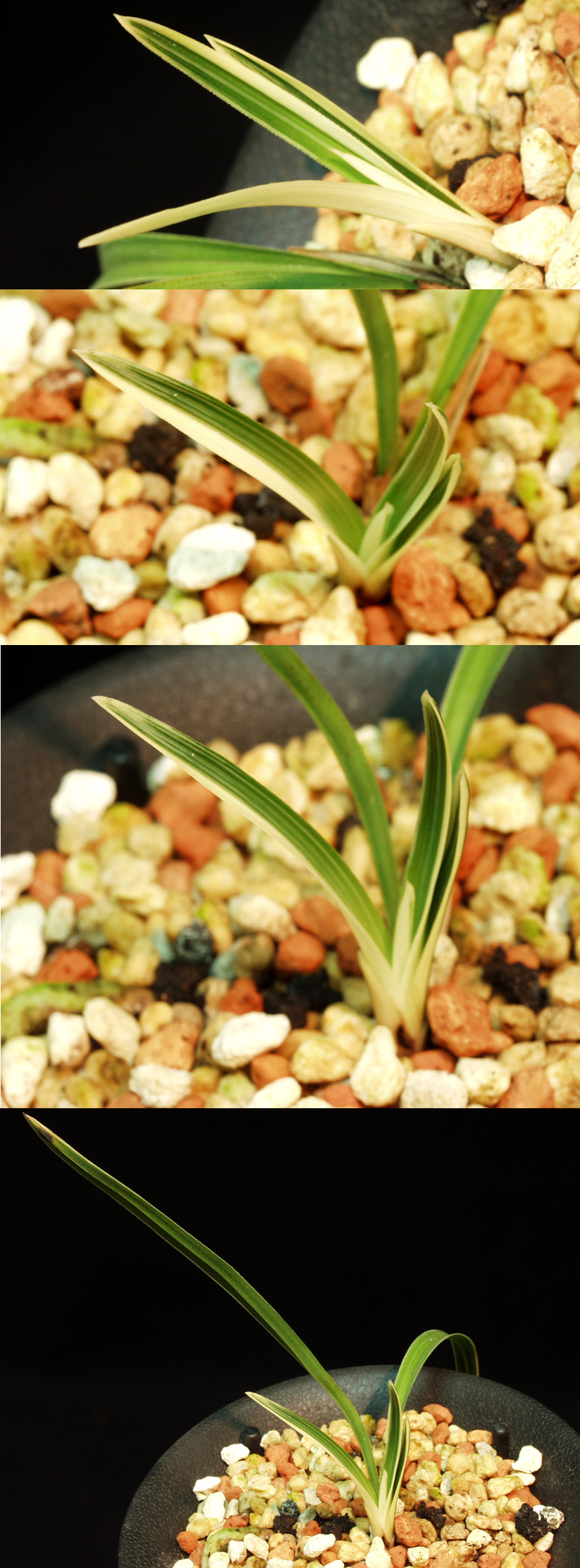 ������ ū������ �� �� �ֽ��ϴ�.