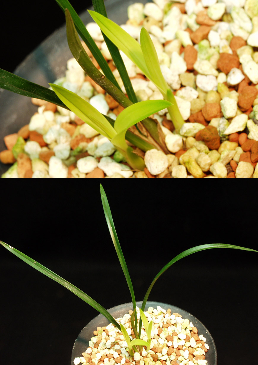 ������ ū������ �� �� �ֽ��ϴ�.