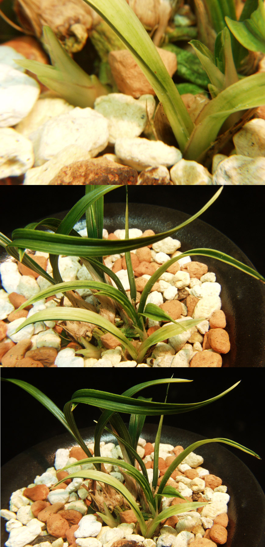 ������ ū������ �� �� �ֽ��ϴ�.