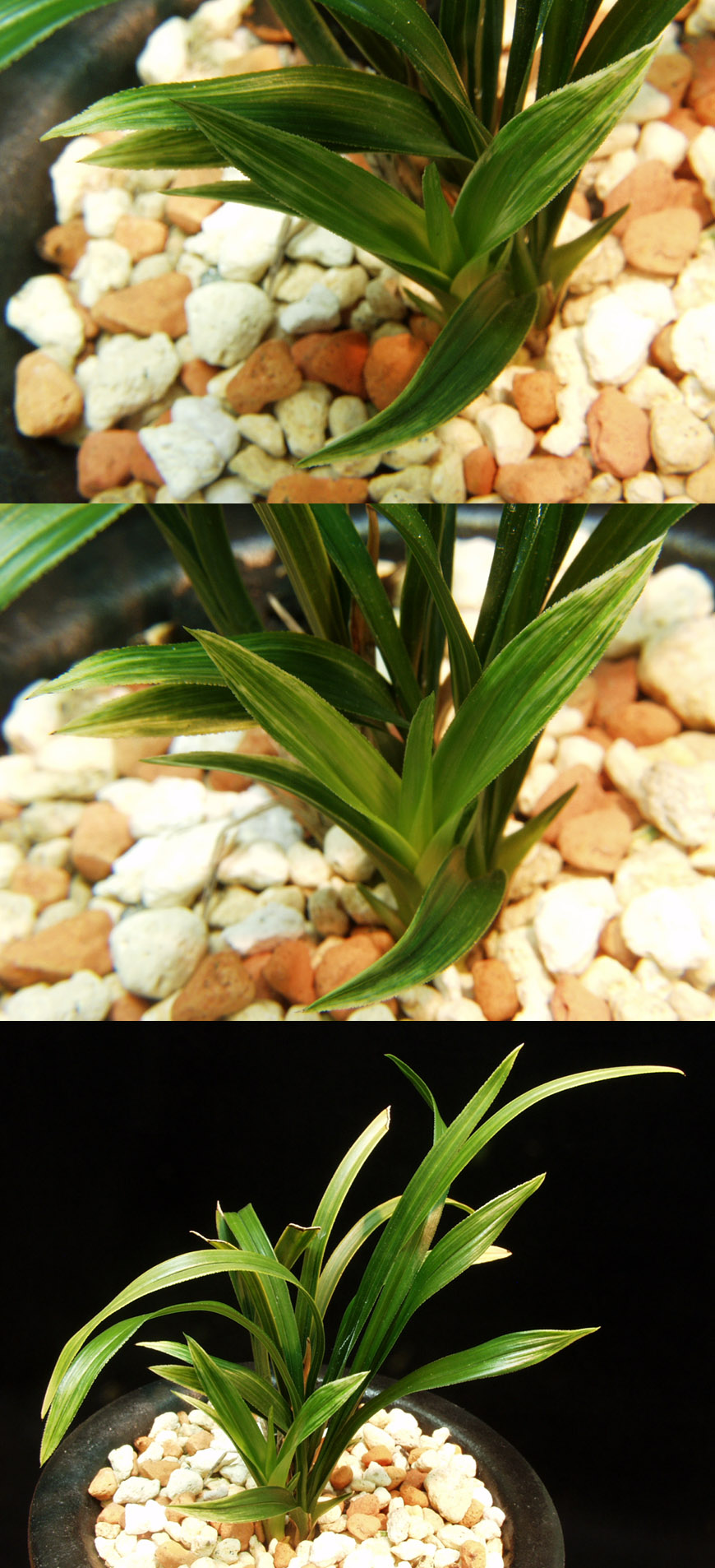 ������ ū������ �� �� �ֽ��ϴ�.