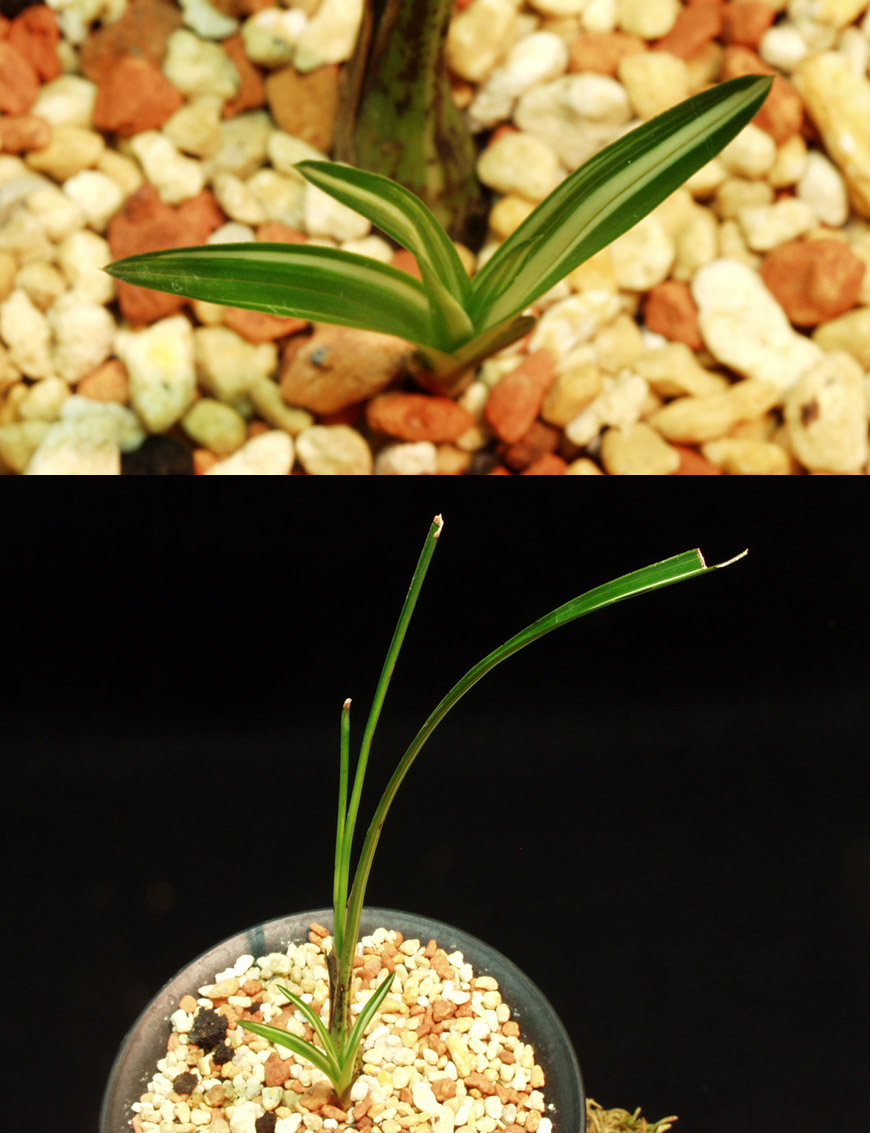 ������ ū������ �� �� �ֽ��ϴ�.