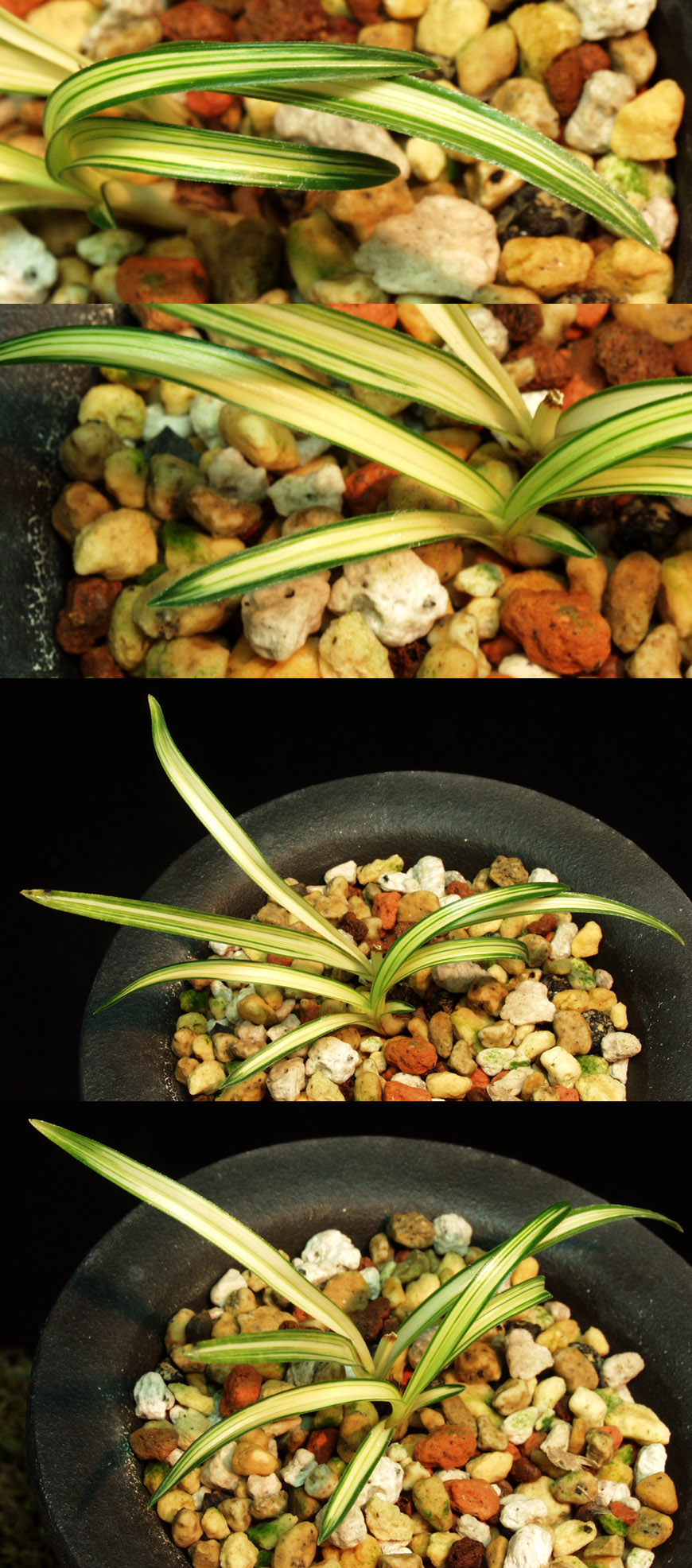 ������ ū������ �� �� �ֽ��ϴ�.