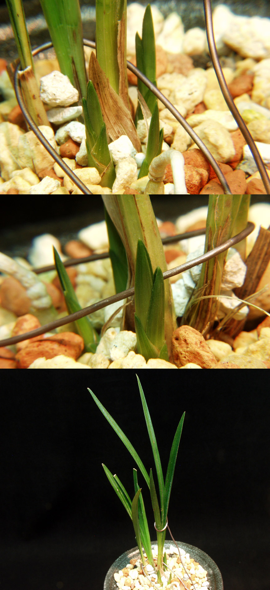 ������ ū������ �� �� �ֽ��ϴ�.