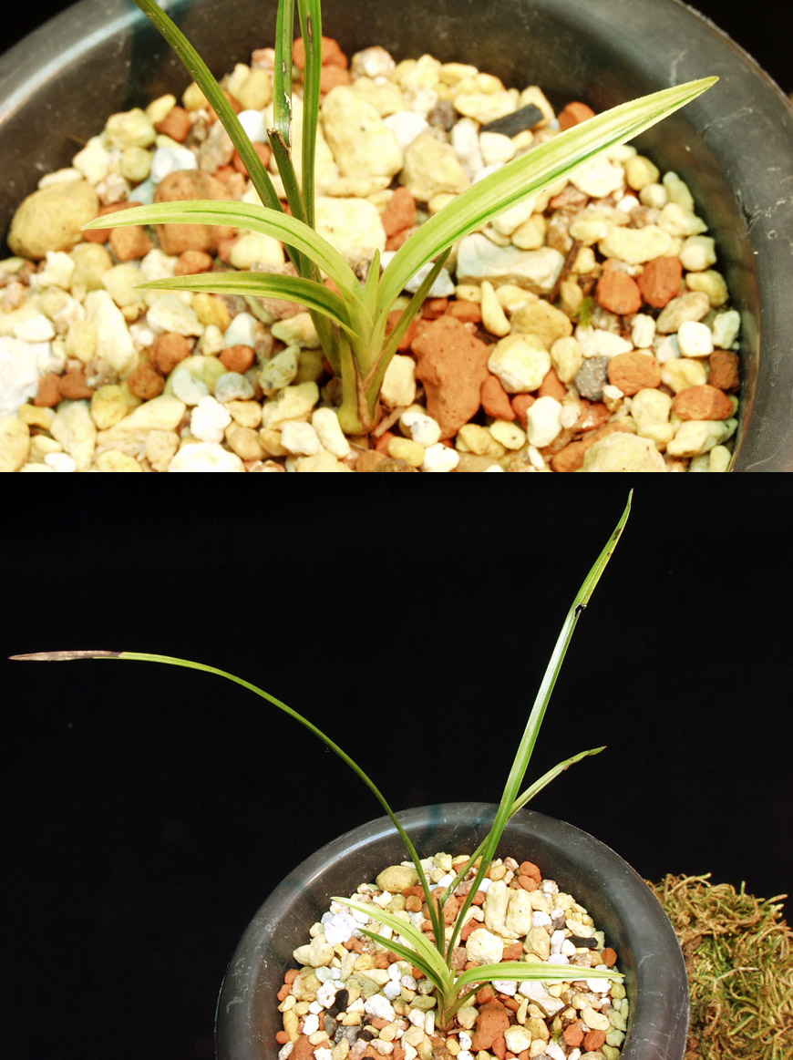 ������ ū������ �� �� �ֽ��ϴ�.